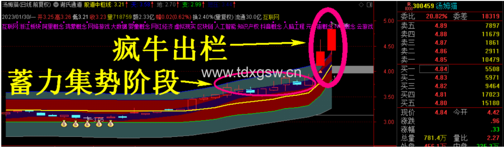 通达信 谢氏右侧战法 股道右侧战法，短线题材神助力工具！主图/选股