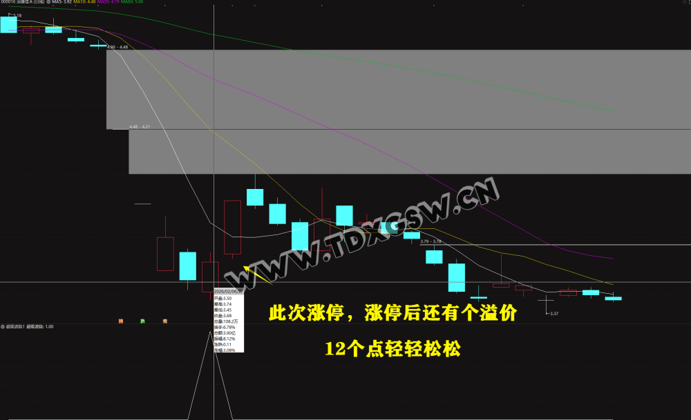 【超级波段】抄底波段指标 年成功率97 两年成功率94