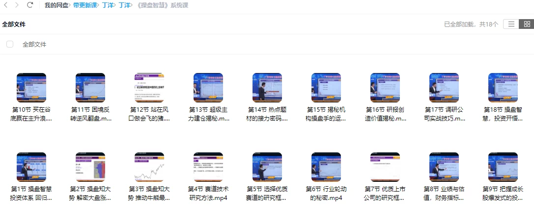 2024丁老师课程合集（指标+日报+小班课）