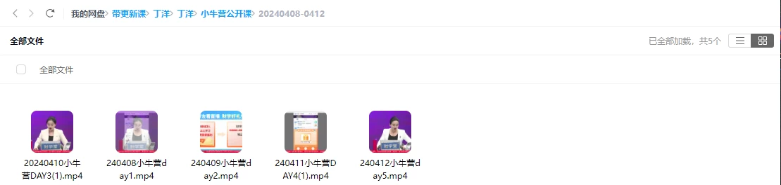 2024丁老师课程合集（指标+日报+小班课）