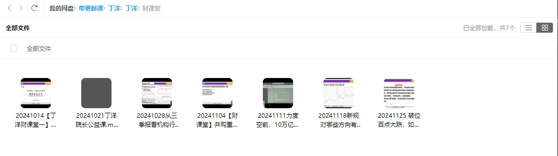 2024丁老师课程合集（指标+日报+小班课）