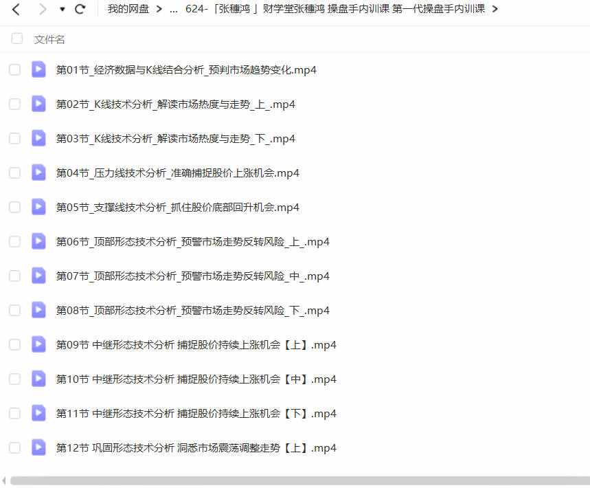 张穗鸿 财学堂张穗鸿 操盘手内训课 第一代操盘手内训课