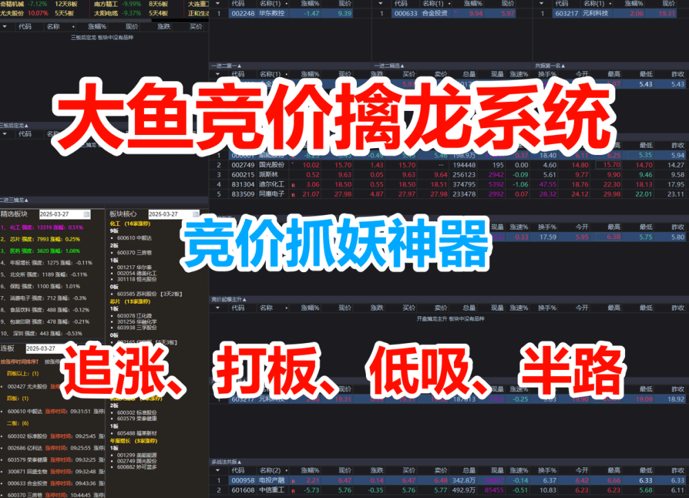 大鱼竞价擒龙系统，追涨、打板、低吸、半路都可行的竞价抓妖神器