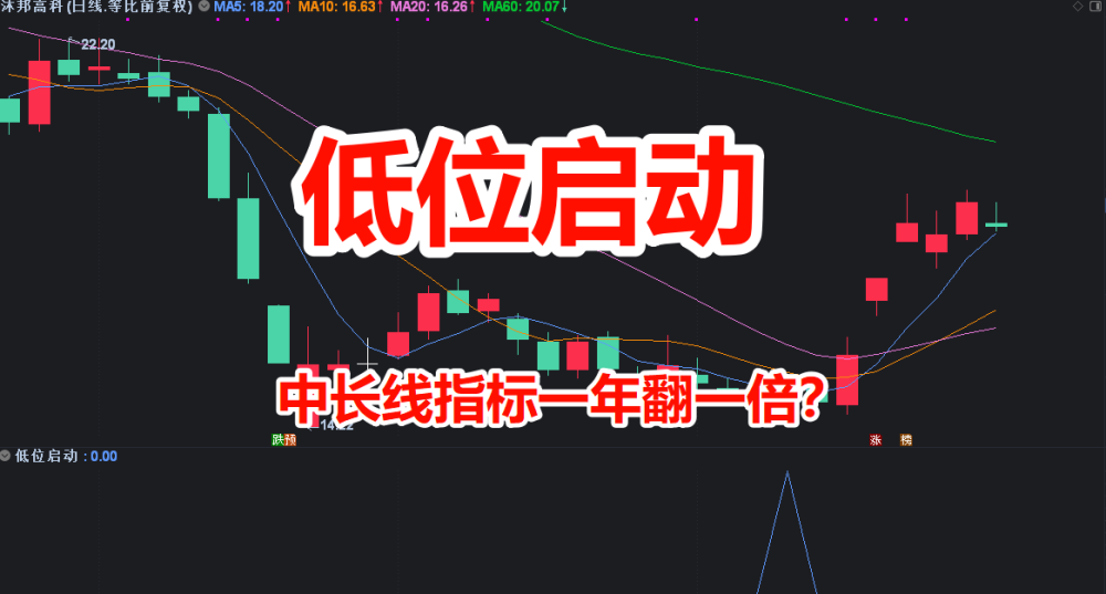 【金钻指标】低位通达信版年翻番选股预警炒股指标 低位启动点一年翻一番 中线长线波段股票公式