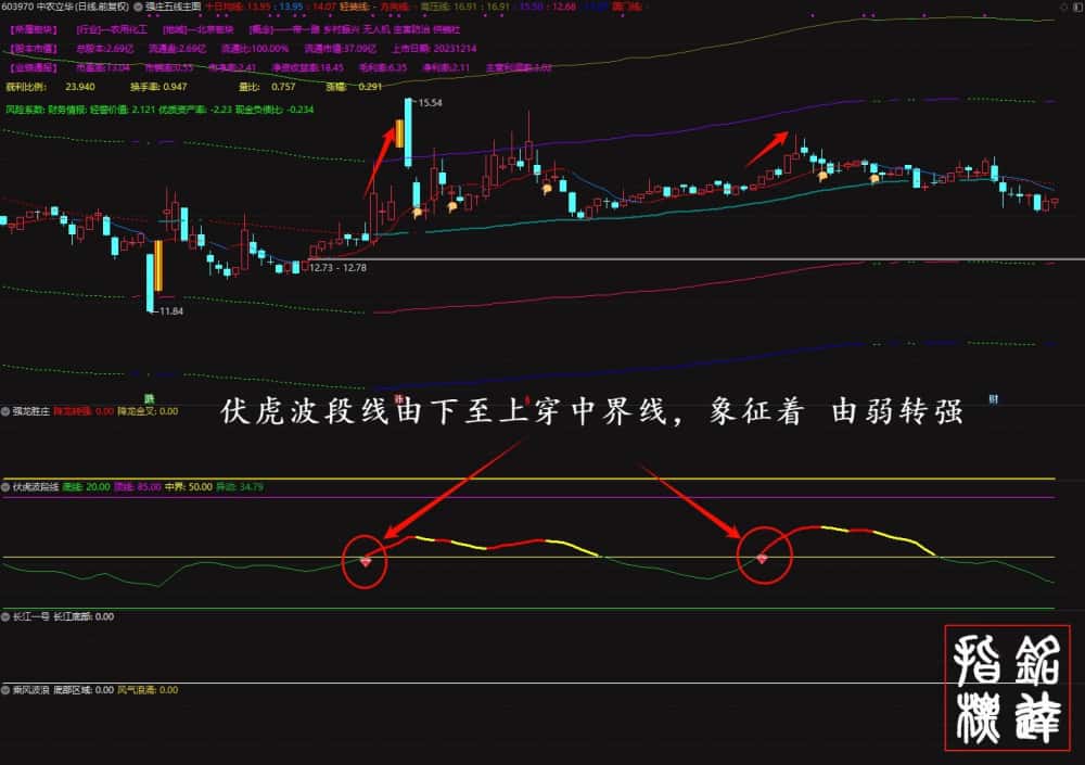 穿越牛熊《强庄制胜王牌套装》龙头暴利强股一网打尽、适合新手老手抄底追牛，不含未来函数