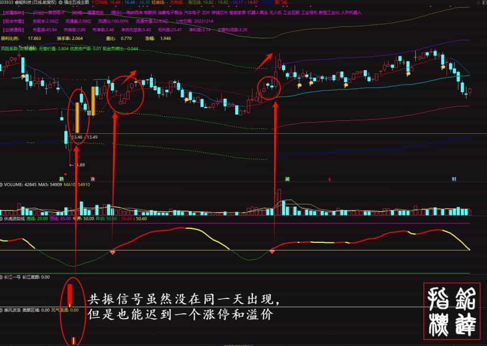 穿越牛熊《强庄制胜王牌套装》龙头暴利强股一网打尽、适合新手老手抄底追牛，不含未来函数