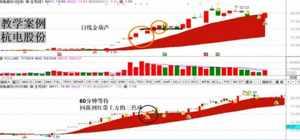 平布老师最新指标【生死线指标+金葫芦指标】带视频使用教程和文档 永久使用