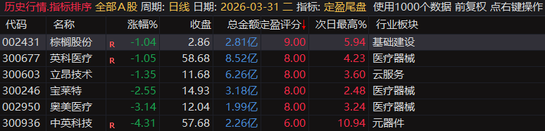 【定盈排序・尾盘排序神器】精准捕捉次日冲高利润，无未来函数、信号不漂移，电脑手机无限制