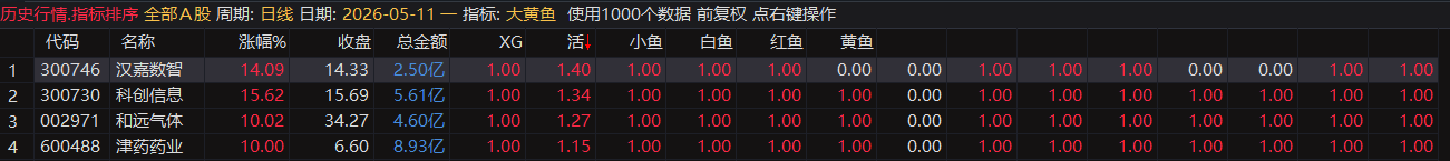 【2025金钻大黄鱼】预警、低吸、排序 捕捉最强拉升段、快速拉升段用黄鱼的形态表现。指标升级加入排序