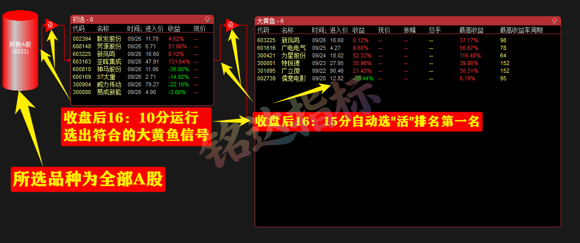 【2025金钻大黄鱼】预警、低吸、排序 捕捉最强拉升段、快速拉升段用黄鱼的形态表现。指标升级加入排序