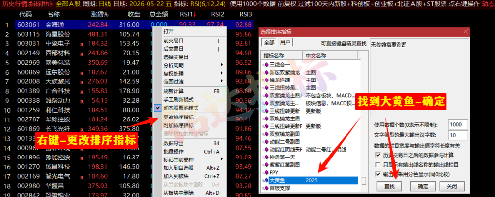 【2025金钻大黄鱼】预警、低吸、排序 捕捉最强拉升段、快速拉升段用黄鱼的形态表现。指标升级加入排序