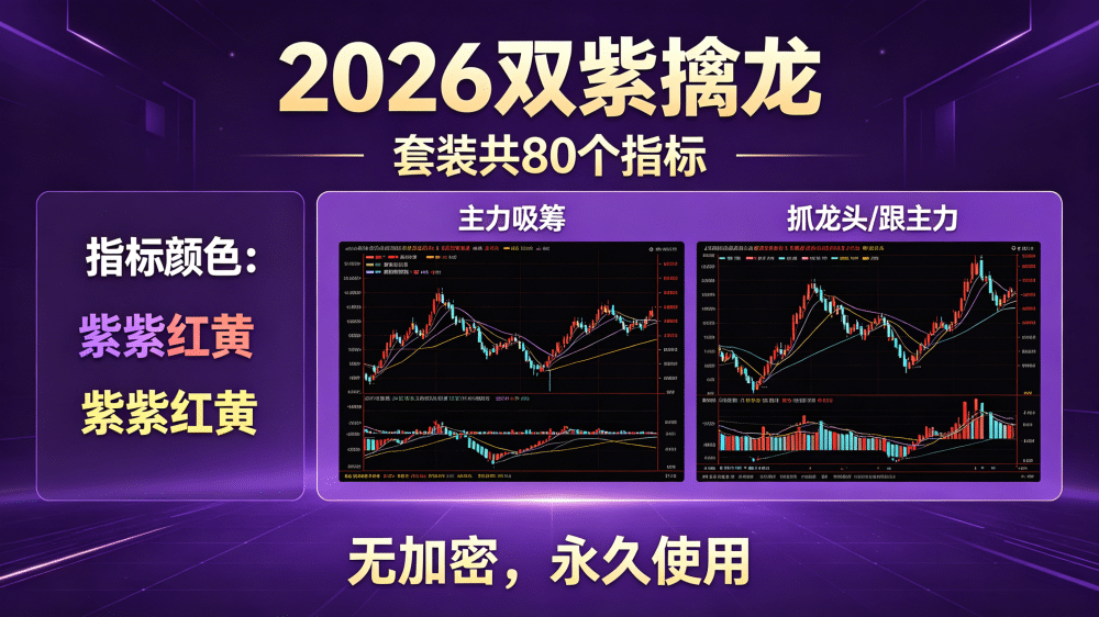 【2026双紫擒龙】:套装共80个指标 紫紫红黄 ,主力吸筹, 抓龙头,跟主力 无加密,永久使用