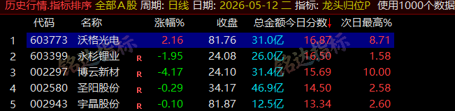 【龙头归位】尾盘排序今买明卖精选短线 T+1 战法,稳定精准捕捉次日冲高利润,信号无未来可回测 【龙头归位】尾盘排序今买明卖精选短线 T+1 战法,稳定精准捕捉次日冲高利润,信号无未来可回测